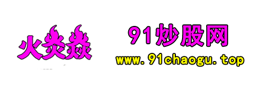 91炒股网 Logo